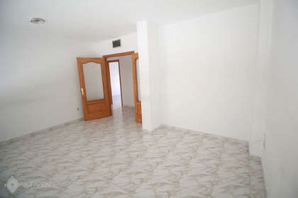 Salón - comedor